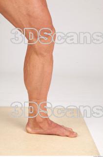 Leg texture of Dale 0002